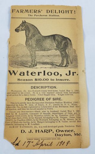 Antique Percheron Stallion Pedigree Card Waterloo Jr 1909 Equine Ephemera Horse