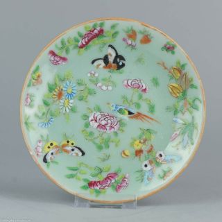 19c Chinese Porcelain Cantonese Rose Butterfly Bird Plate Marked