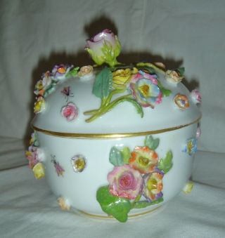 Antique 19thc Meissen Porcelain Flower Encrusted Lidded Sugar Bowl