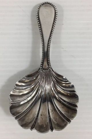 Antique 1866 Martin,  Hall & Co Solid Silver Shell Bowl Tea Caddy Spoon