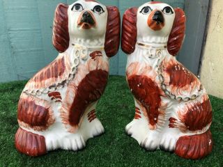 Pair 19thc Staffordshire Russet Red & White Spaniel Dogs C1880s