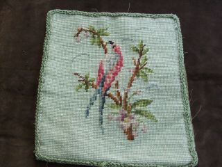 Antique Needlepoint Of Colorful Bird Sitting On A Branch