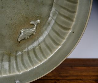 Large Antique Chinese Ming Longquan Celadon Glaze Molded Fish Porcelain Plate 5