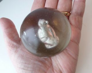 Antique Sulphide Glass Marble Lemur Animal Figure Large 2 1/4 " As Found