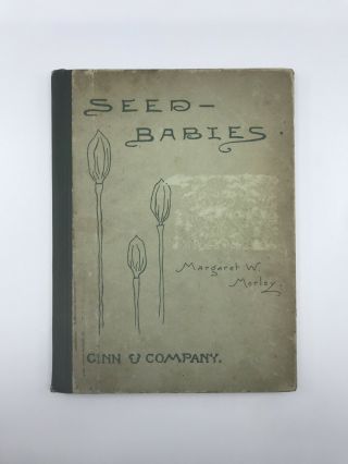 1897 Antique Children’s Book On Gardening Planting Seeds Growing Food Fruit Nuts