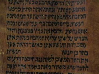 TORAH SCROLL BIBLE MANUSCRIPT FRAGMENT 450 YRS OLD Yemen Exodus 26:9 - 27:21 8