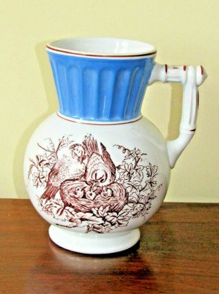 Antique Knowles,  Taylor & Knowles Ironstone Pitcher " Ionic " Birds In Nest Blue