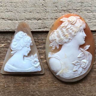 Two 30mm Antique Carved Cameo Shells - Hand Carved Highly Detailed