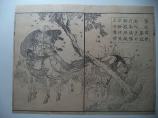 Antique Japanese Woodblock Print Hokusai Book Plate Illustration Art 3