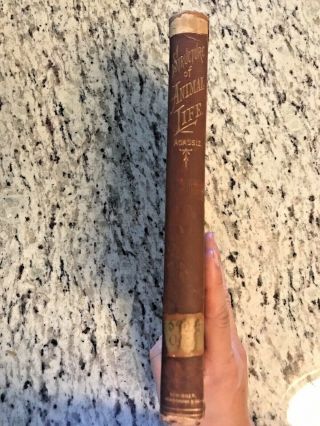 1874 Antique Science Book " The Structure Of Animal Life "