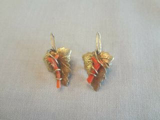 Fabulous Antique Victorian Gf Earrings With Coral Branch