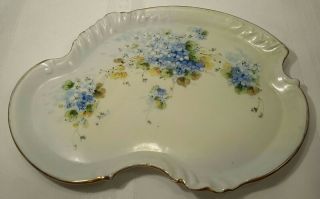 Antique W G Limoges Hand Painted Blue Flower Dresser Tray