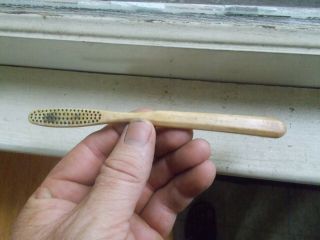 1870s Cow Bone Toothbrush Dug In 1880s Victorian House Trash Pit Lee & Co London