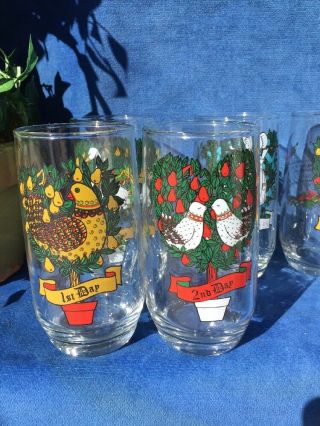 Antique Partridge in a Pear Tree 12 Days of Christmas Drinking Beverage Glasses 3
