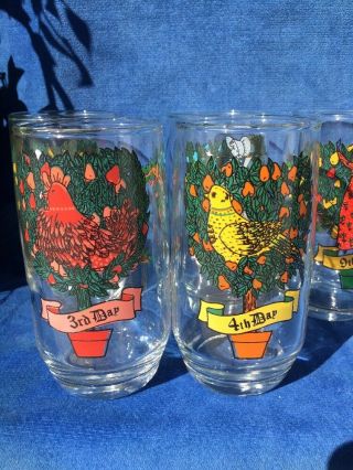 Antique Partridge in a Pear Tree 12 Days of Christmas Drinking Beverage Glasses 4