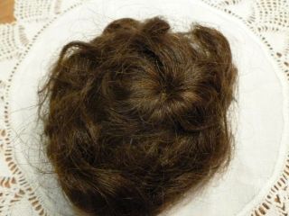 Antique Doll Dark Brown Human Hair (on Mesh) Wig 3 " Diameter With Black Fabric