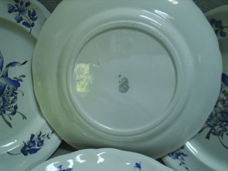 Six blue & white antique dinner plates Luneville China floral pattern LUN29 3