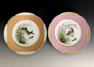 Antique Set Of 2 Haviland & Co (h & C) Limoges France Porcelain Plates