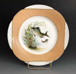 Antique Set Of 2 Haviland & Co (H & C) Limoges France Porcelain Plates 2
