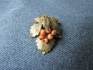 Antique Real Coral Beads & Golden Metal Grape Cluster & Leaves Clip Pin Brooch