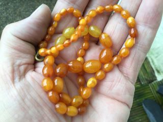 Antique Natural Baltic Butterscotch Amber Necklace 11.  4 Grams No Reserv