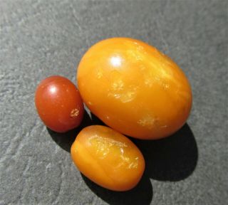 Antique Natural Butterscotch Egg Yolk Baltic Amber Beads 5.  8g. 3