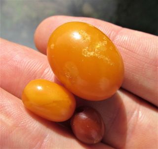 Antique Natural Butterscotch Egg Yolk Baltic Amber Beads 5.  8g. 5