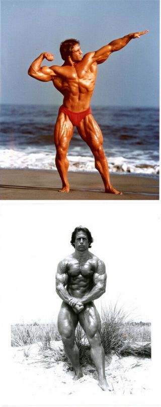 1980s Vintage 3 Ea Male Nude Photos John Defendis Physique Muscle Bodybuilder