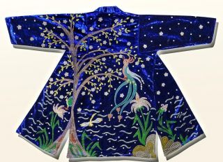 Traditional Uzbek Silk Embroidered Robe Chapan Fairy Bird A3703