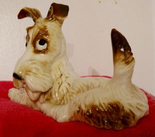 ANTIQUE HUTSCHENREUTHER SELB GERMANY LOVEABLE SCOTTY DOG FIGURAL STUDY 2
