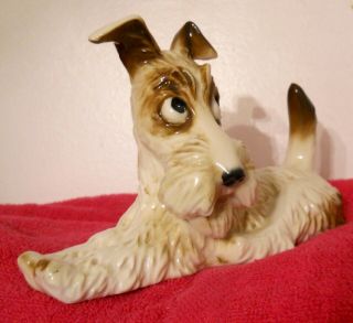 ANTIQUE HUTSCHENREUTHER SELB GERMANY LOVEABLE SCOTTY DOG FIGURAL STUDY 4
