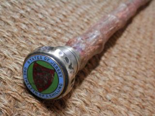 Antique Jersey Cabbage Walking Stick With One - Twelfth Of A Shilling Coin Top