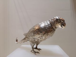 Sterling Silver Rare Antique Life Size Parrot Bird Table Ornament German