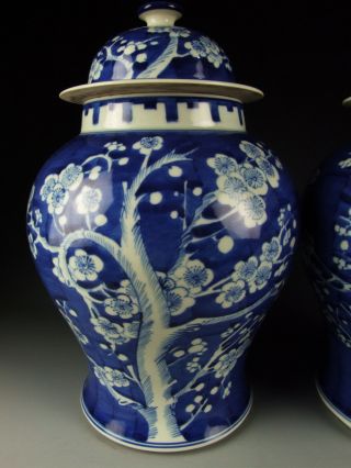China Antique Blue&White Porcelain Lidded Jars with Plum 5