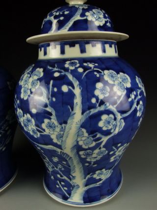 China Antique Blue&White Porcelain Lidded Jars with Plum 6