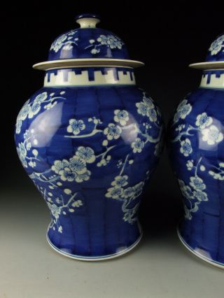 China Antique Blue&White Porcelain Lidded Jars with Plum 8