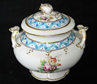 Antique Coalport Porcelain Lidded Sucrier /sugar Bowl,  Painted Ribbons & Flowers