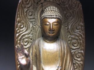 old Japanese Japan,  Buddhism Jodo shu wooden statue Buddha syaka Amitabha 57cm　天 4