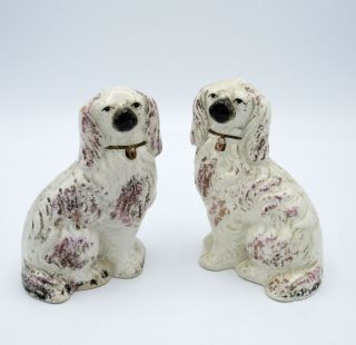 Antique Staffordshire Spaniel Dogs Mantle Dogs With Gold And Mauve,  Nr