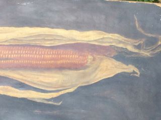 Antique US Trompe L ' oeil Autumn Corn Harvest Still Life Oil Painting 1888 Signed 3