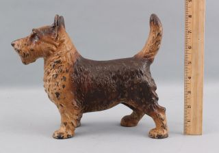 Rare Antique HUBLEY Cast Iron Scottish Terrier Dog Doorstop Brown Paint 2