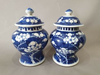Two Good Chinese 19th C Kangxi Style Prunus Pattern Tea Caddy Vase Jars