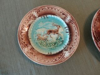 Antique Majolica Plate Decorated W/ Pointer Dog Chasing Deer 8 "
