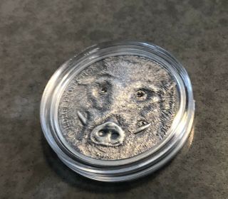 Mongolia 2018 500 Togrog Wild Boar – Sus Scrofa 1oz Silver Antique Coin