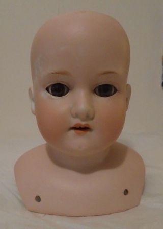 Antique 6 " Am 370 Bisque Head German Doll Head Only Brown Set Eyes Ex
