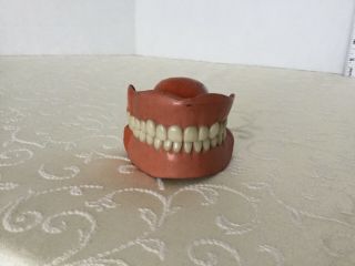 Antique Set Of Dentures