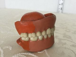 Antique Set of Dentures 2