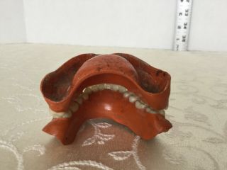 Antique Set of Dentures 3