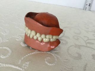 Antique Set of Dentures 4