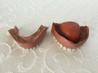 Antique Set of Dentures 6